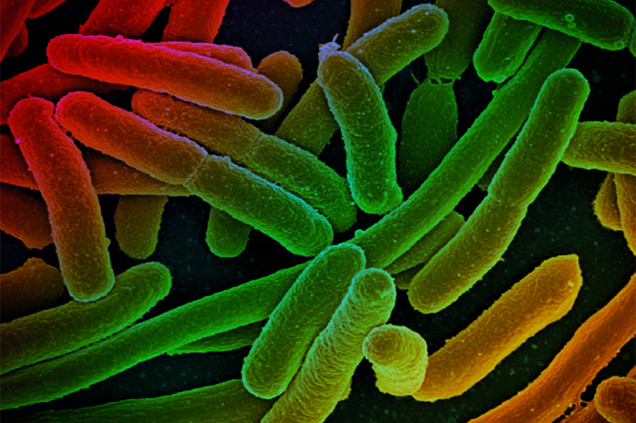 Antibiotic resistance