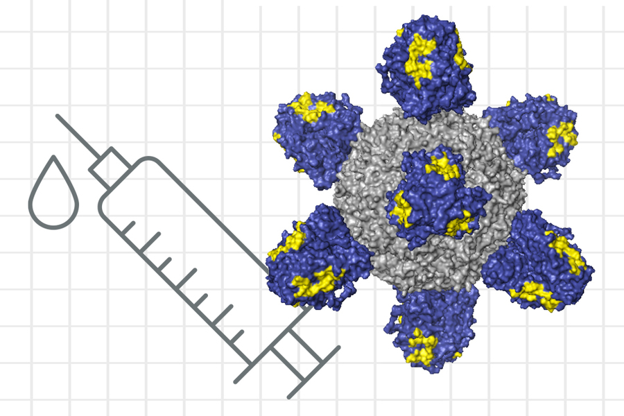 Researchers at MIT and the Ragon Institute of MIT, MGH, and Harvard, are now working on strategies for designing a universal flu vaccine that could work against any flu strain.