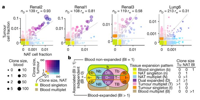 An HST alumnus has published a report with new insights into the field of cancer immunology.