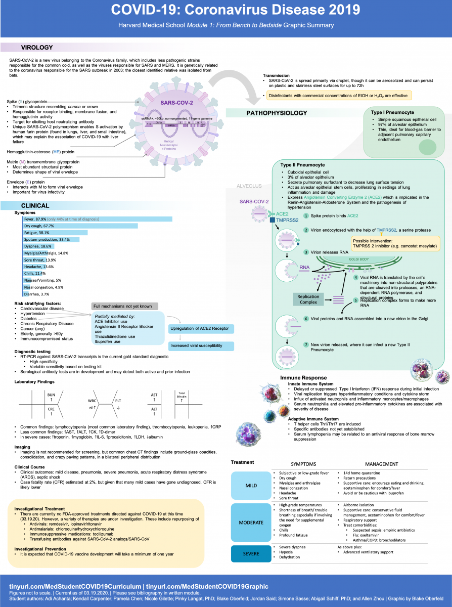 COVID-19 curriculum