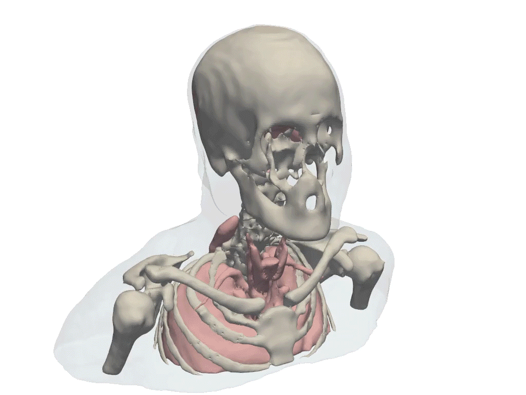 Vivek Gopalakrishnan