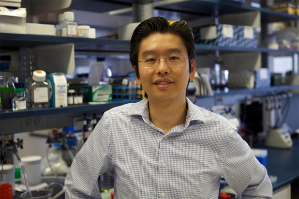 Harris Wang, HST MEMP PhD 2011 graduate