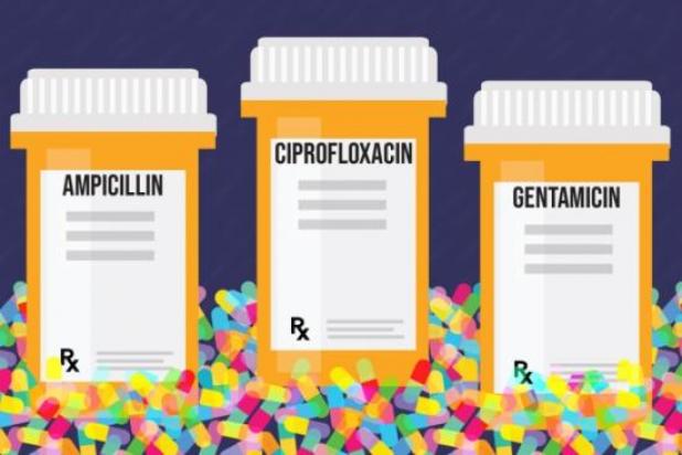 MIT biological engineers used a novel machine-learning approach to discover a mechanism that helps certain antibiotics kill bacteria. Image: Chelsea Turner, MIT