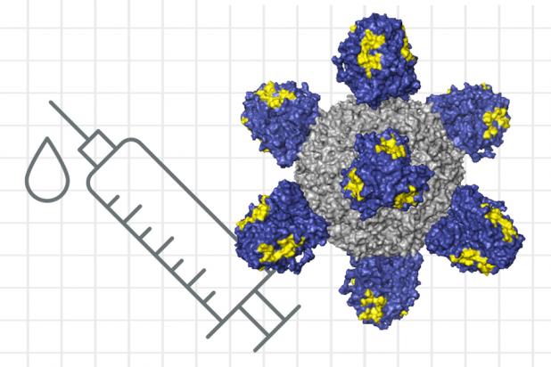 Researchers at MIT and the Ragon Institute of MIT, MGH, and Harvard, are now working on strategies for designing a universal flu vaccine that could work against any flu strain.