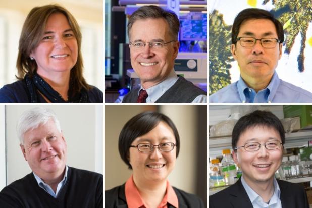 Multi-institutional MassCPR initiative announces more than $16.5 million to support 62 Boston-area projects, including two led by HST faculty.