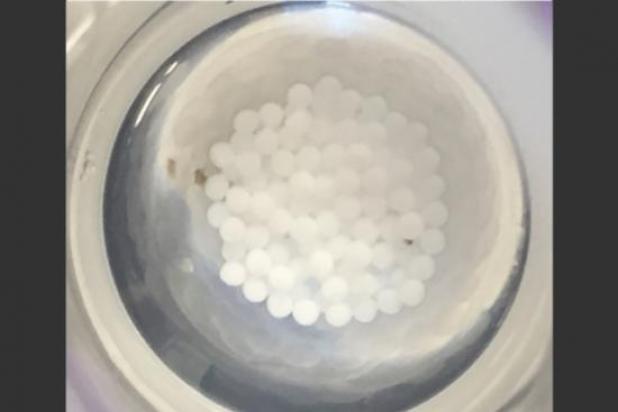 MIT researchers are testing encapsulated pancreatic islet cells as a possible treatment for diabetes. These 1.5 mm capsules are embedded with a fluorine-containing compound that allows the researchers to monitor their oxygen levels with MRI once implanted in the body. Credit: Virginia Spanoudaki