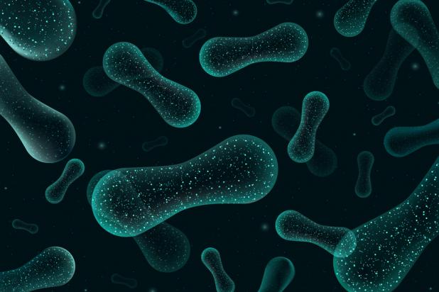 Microbiome