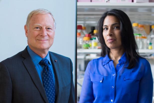 MIT professor Richard Young (left) and HST Faculty Member Sangeeta Bhatia