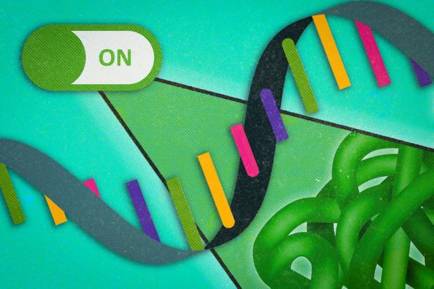 MIT RNA Therapy -- Jim Collins