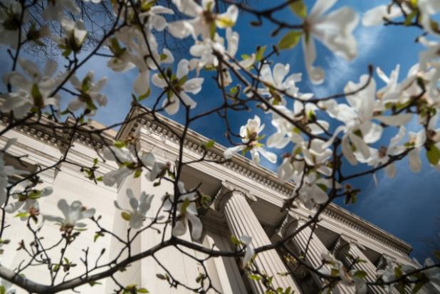 Members of the MIT engineering faculty receive many awards in recognition of their scholarship, service, and overall excellence