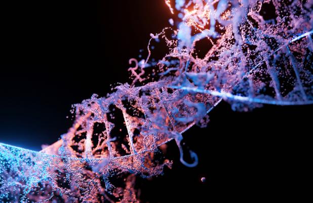 BioAutoMATED