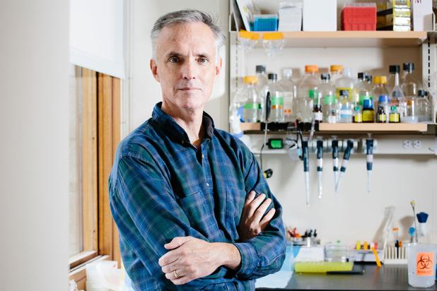 Jim Collins