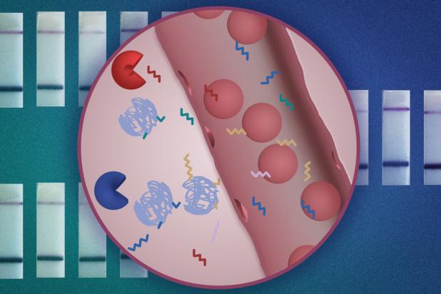 Cancer diagnostics Bhatia
