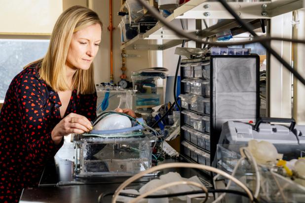 Ellen Roche Implantable device