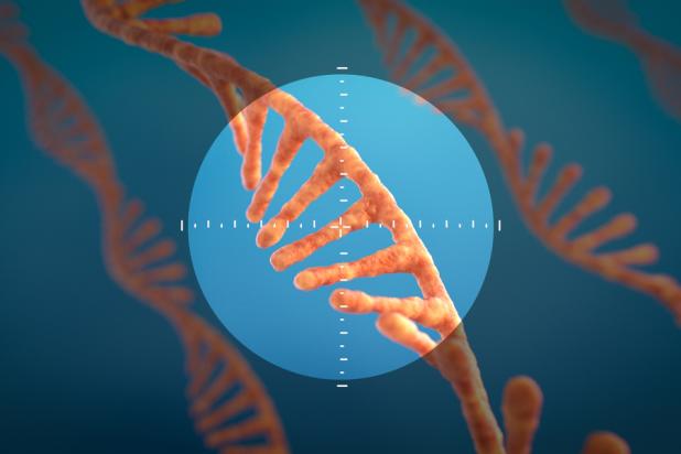 Targeted RNA Collins research