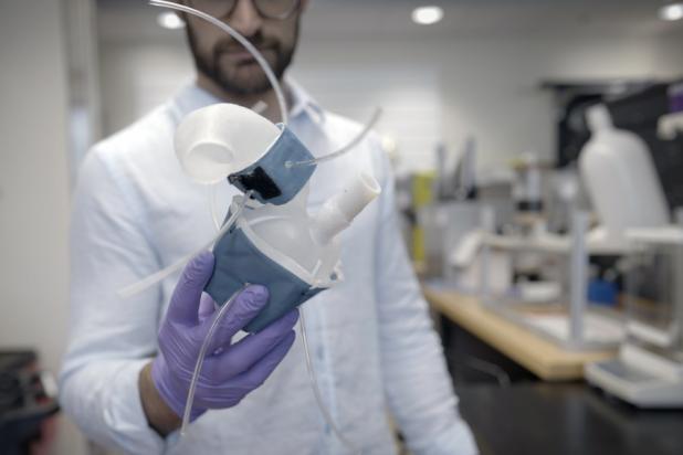 Heart simulator Roche Rosalia