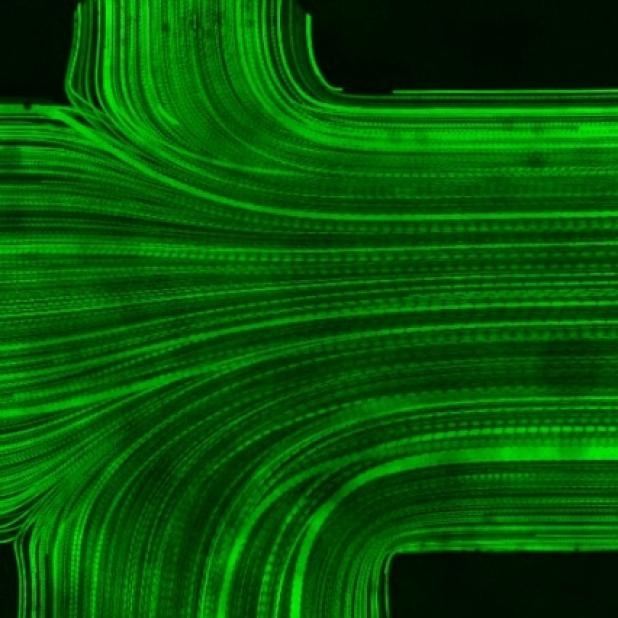 Research on potential design for brain catheters
