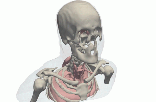 Vivek Gopalakrishnan