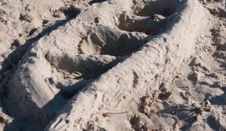 DNA sand sculpture created at the 2012 HST Student Retreat in Brewster, MA.