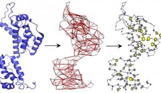 Structure-based network analysis transforms HIV proteins into networks used to identify T cell targets resistant to mutation. Image courtesy of the researchers.