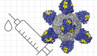 Researchers at MIT and the Ragon Institute of MIT, MGH, and Harvard, are now working on strategies for designing a universal flu vaccine that could work against any flu strain.