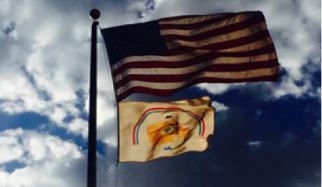 Navajo Trip - Flag