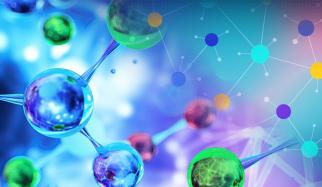 Sangheeta Bhatia research