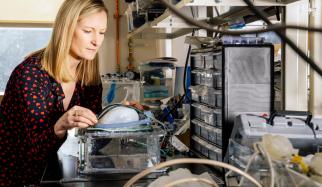 Ellen Roche Implantable device