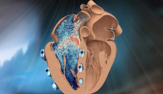 Robotic replica of right heart