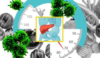 Constantine Tzouanas, Shalek research