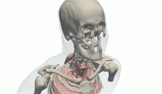 Vivek Gopalakrishnan