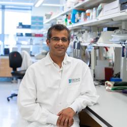 Photograph of Rajat M. Gupta, M.D.